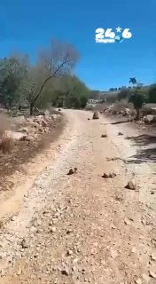 🇮🇱 המתנחלים חסמו את הכביש לכפר הפלסטיני תורמוסעיא. המתנחלים חסמו את הכביש לכפר הפלסטיני תורמוסעיא, הממוקם…