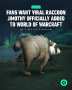 В World of Warcraft появился рендер вирусного енота Джимоти