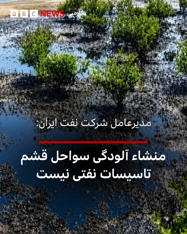 סגן שר הנפט ומנכ"ל חברת הנפט האיראנית הלאומית דחו את הקשר בין כתמי נפט במפרץ הפרסי לבין מתקני הנפט של קשם.