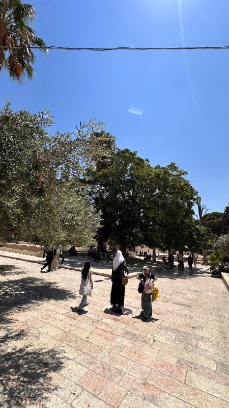 آلاف الفلسطينيين يعمّرون المسجد الأقصى