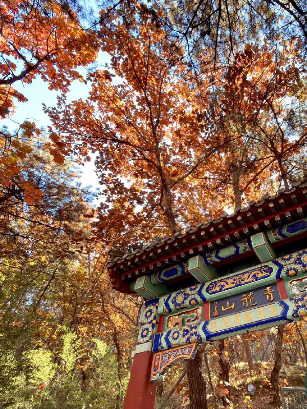 红螺寺赏秋最佳位置在橡树林红螺寺赏秋最佳位置在橡树林