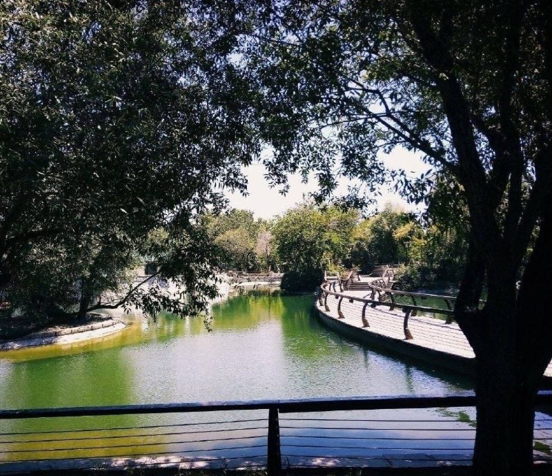 اجتماعی مشهد: 🔸پارک ملت در آخرین روز های مرداد@ejtemaeemashhad