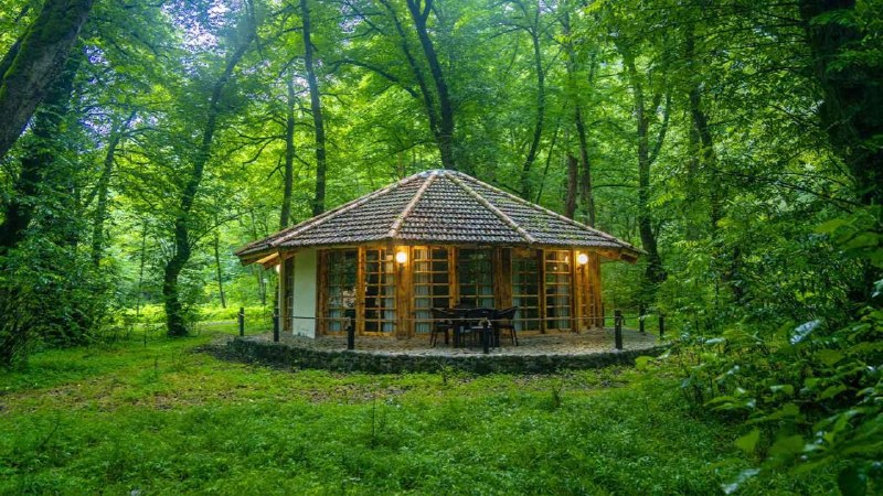 ⭐️جواهری فیروزه(ارمان)⭐️: هر آدمی یک آرزو دارد ،که همیشه برایش آرزو میماند ...سلام صبحتون بخیر مشاهده بیشتر در:اینستاگرام👇🏼https://www.instagram.c