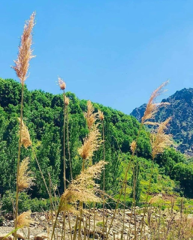 تــــبـــریـــز (خبر صبح): #صبح_بخیر_آذربایجاننمایی از طبیعت بکر و زیبای روستای عیش آباد؛ مرند📸 حسن بی نام#تقویم_تاریخ چهارشنبه ۴ شهریور ماه ۱۴۰۵۱۳