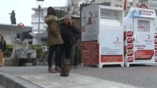 כל יום חתול עומד בתור לחלב טרי בטורקיה.