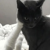 ​卂ㄒ丂ㄒㄖㄚ