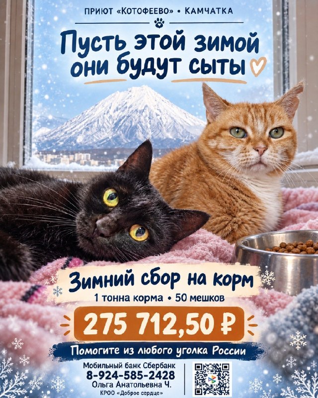 ❄️ ЗИМА НА ПОРОГЕ.
400 КОТОВ ЖДУТ ПОМОЩИ!

Собираем...