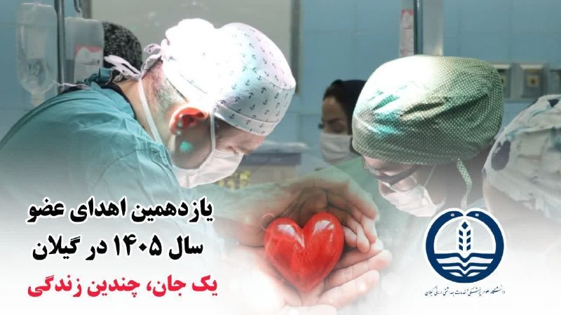 کانال خبری مطبوعات در شهر: 💢 یازدهمین اهدای عضو سال ۱۴۰۵ در گیلان؛ مهدی رمضانی حیاتبخش بیماران نیازمند عضو شد🔸 یازدهمین اهدای عضو سال ۱۴۰۵ در استا