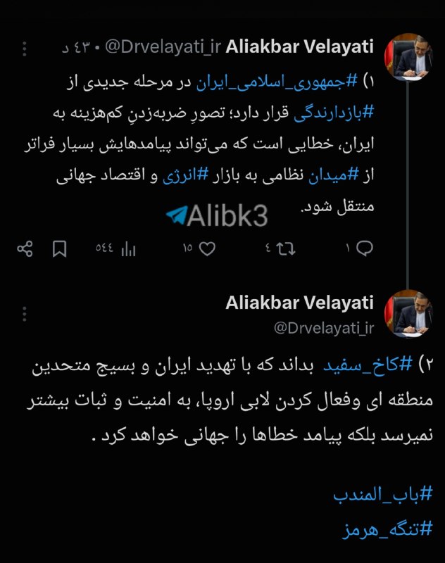 יועץ למנהיג המהפכני הראשון, Velayati: