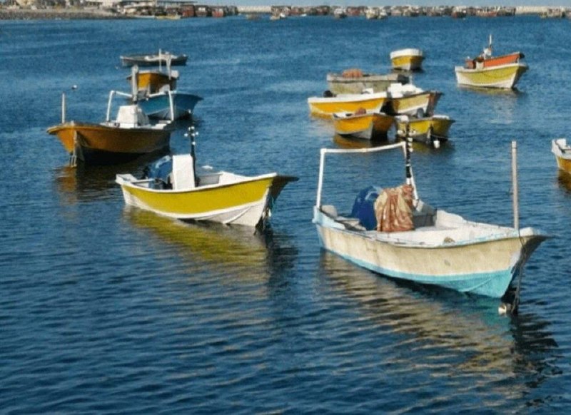 اقتصاد۲۴: 🔺بی‌خبری از ۹ صیاد بندرلنگه‌ای پس از پنج روز🔹فرماندار بندرلنگه: ۹ صیاد بندرلنگه‌ای که پنج روز پیش با ۳ قایق جداگانه از ا