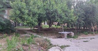 Srochna Uchaska sotiladi Limonariya