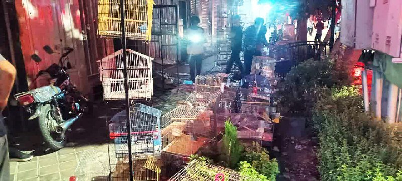 صاحب نیوز | اخبار اصفهان: 🔴 مرگ ده‌ها پرنده در آتش‌سوزی مغازه در خمینی‌شهرمدیرعامل آتش‌نشانی خمینی‌شهر:🔹 آتش‌سوزی مغازه پرندگان زینتی با واکنش سری
