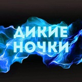 ДИКИЕ НОЧКИ | WILD NIGHTS