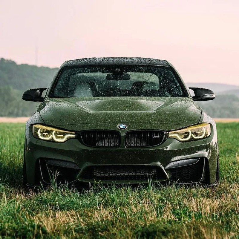 https://t.me/bmw_mpower_club