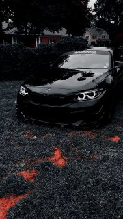 https://t.me/carporn24
