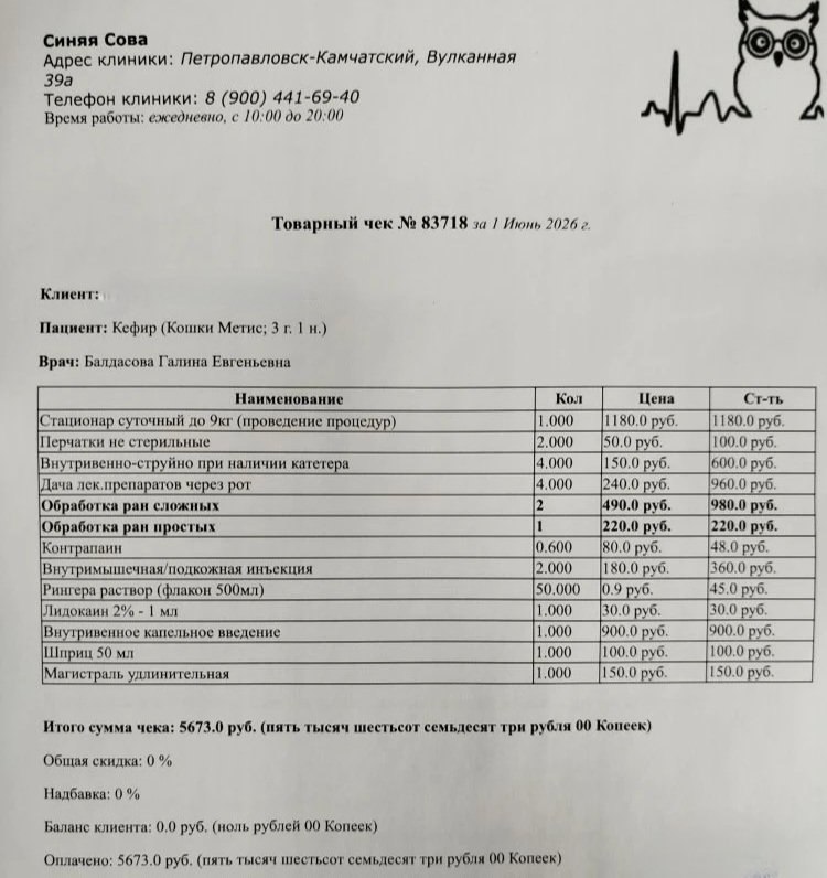 @kotofeevo41 posted a photo