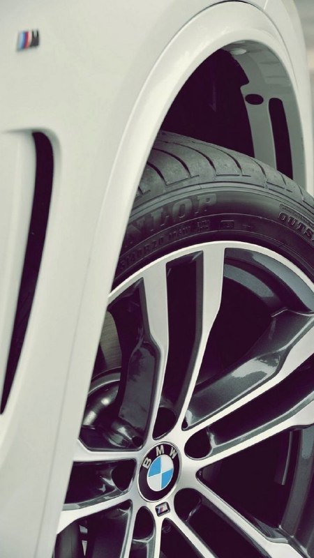 BMW M Powerhttps://t.me/bmw_mpower_club#bmw #mpower #bmwmpower #bmwworld #bmwmpo