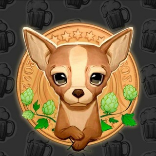 🌎DOGEIPA🌍