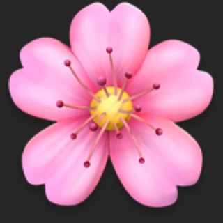 Цветочная группа 🌸