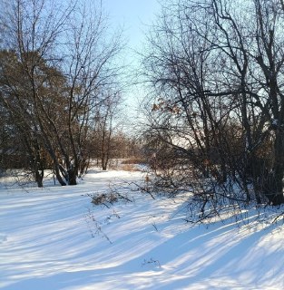 ⚡️ Чиновники Ивановской области получили землю вместо многодетных семей. СК не смог расследовать дело о коррупции — один из сотрудников оказался замешан в скандалеУправление МВД по Ивановской области возбудило дело о превышении должностных полномочий в отн
