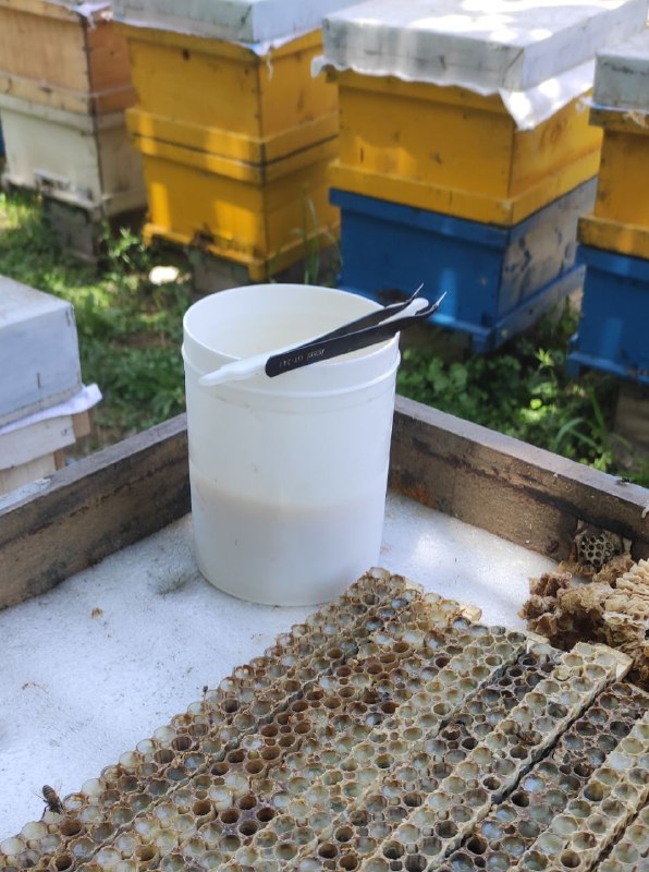 کانال رسمی شهرهیر: 🐝 فروش ژل رویال برداشت استانهای هرمزگان ، گیلان و آذربایجان شرقیبصورت عمده و خرده📞 09391898116 حسین پورنظر🆔 اینستاگرام:I