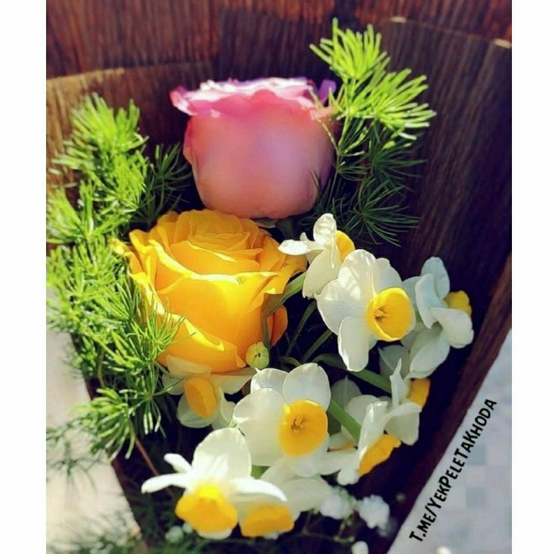 ۞یک پله تا ملاقات خدا۞: 🌹 @YekPeleTaKhoda❣ای دوست💫سایه زیبـای حق باشد🌸همیشه بر سـرت🌷💫رخت زیبای سلامت 🌸هر زمانی بر تنت💓💫زندگی را شاد باشی 🌸هر زما