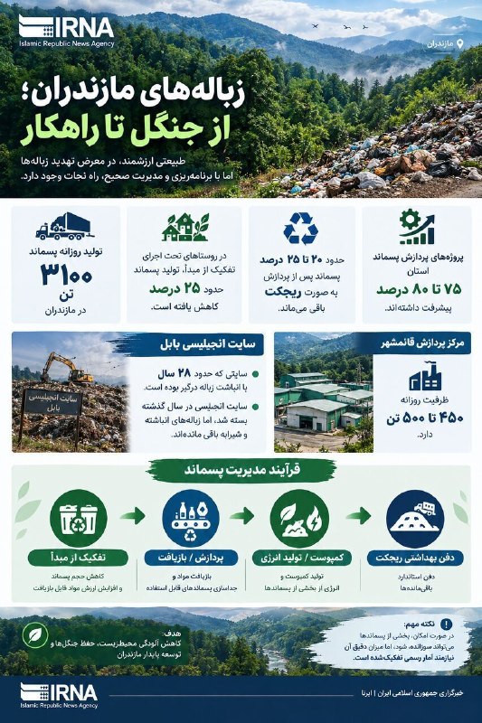 🔸️Infographic / The forest is not a trash can