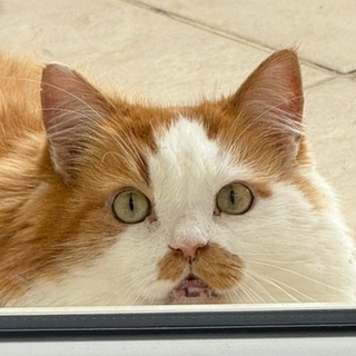 Артем Telegram Group Link