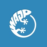 🪼Город скинов вайпа🦎