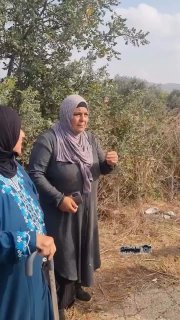 אף אחד לא מדוכא כמונו." פלסטינית מטורמוס איה, מחוז רמאללה, מדברת ברגש על כך שנשללה ממנה אדמתה המרוחקת מטרים…