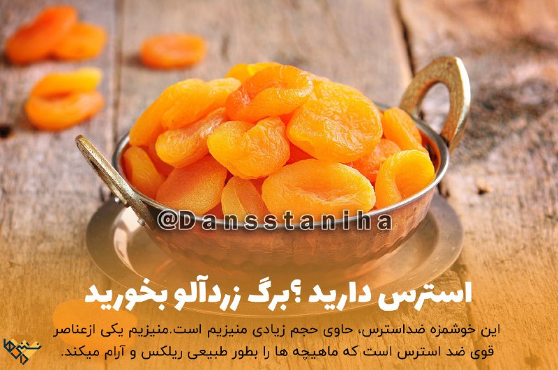 طب الرضا علیه السلام: استرس دارید ⁉️⁉️✅ برگ زردآلو بخورید✍️این خوشمزه ضداسترس، حاوی حجم زیادی منیزیم است.✍️منیزیم یکی ازعناصر قوی ضد استرس است