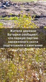 В Бурятии ввели режим повышенной готовности из-за заболевания скота в Иркутской областиВласти Бурятии ввели режим повышенной готовности из-за вспышки заболевания скота узелковым дерматитом в Иркутской области, заявил глава республики Алексей Цыденов.🔵 Блок