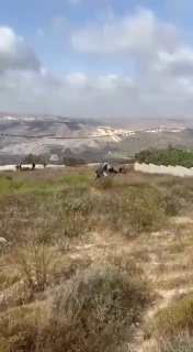 🇮🇶 חדשות אל נחיל 🇮🇶