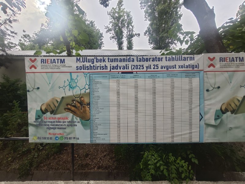 Haifainfo.com