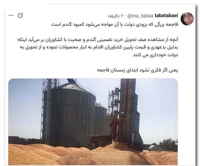 مطالب ده ریشتری: ✅فاجعه بزرگی که بزودی دولت با آن مواجه می‌شود کمبود گندم است.