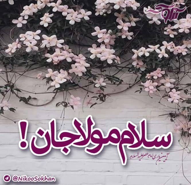 نیکوسخن؛ از امام عصر علیه‌السلام می‌گوید!: رسانه پست
