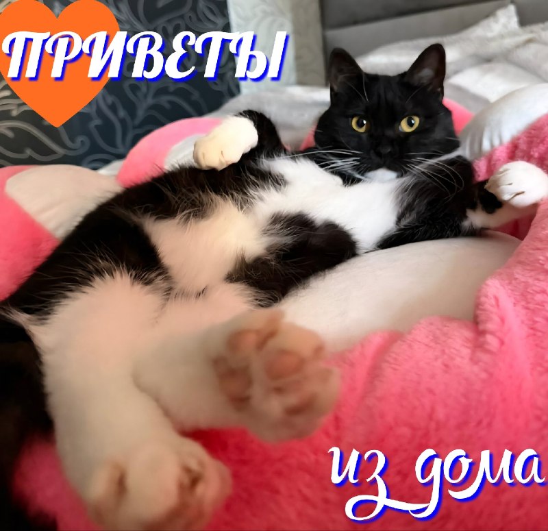 Нет для нас большей радости, чем получать весточки от...