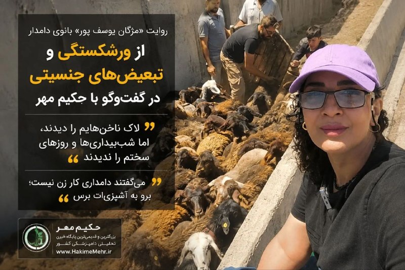 حکیم مهر: روایت «مژگان یوسفپور» بانوی دامدار از ورشکستگی و تبعیضهای جنسیتی در گفتوگو با حکیم مهر:✅ لاک ناخنهایم را دیدند، اما