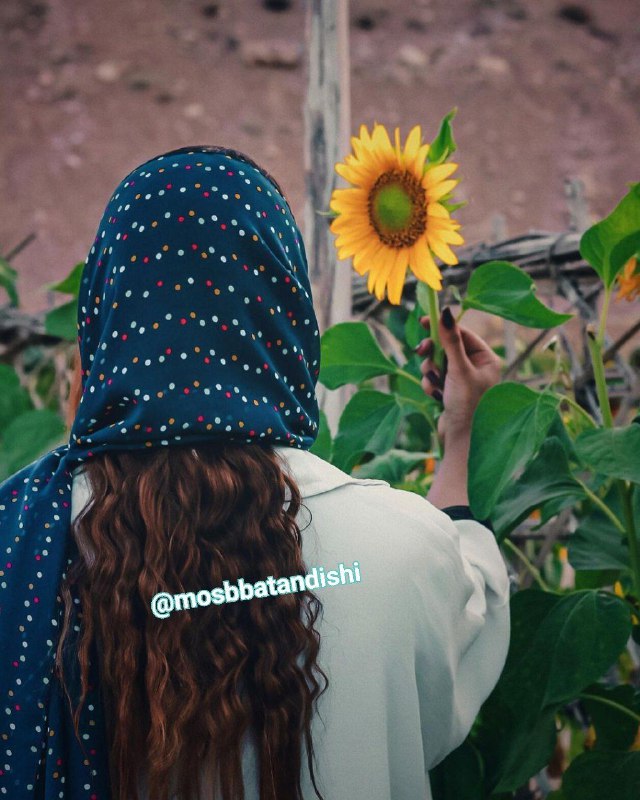 ++ مثـــبـــت انـــدیـــشــــــی ++: 🍂#قانون_جذب_و_مثبت_اندیشی🔰 موثرترین تکنیک🌸 یکی از تکنیک های مهم در زمینه قانون جذب و مثبت اندیشی ، مشاهده و تمرکز بر زیب