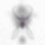 unknown4201.040