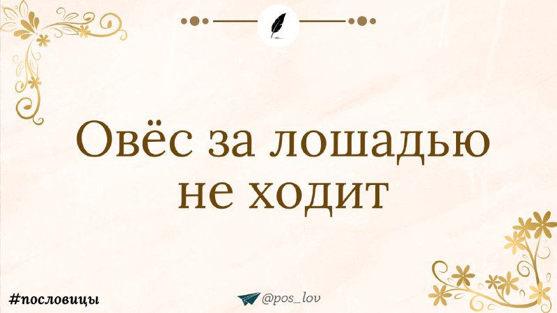 שיבולת שועל לא הולכת בעקבות הסוס - פתגם קשוח אך הוגן.