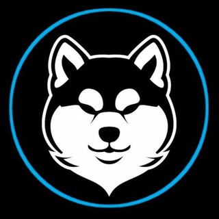 Telegram profile photo for Mini Ton Discussions