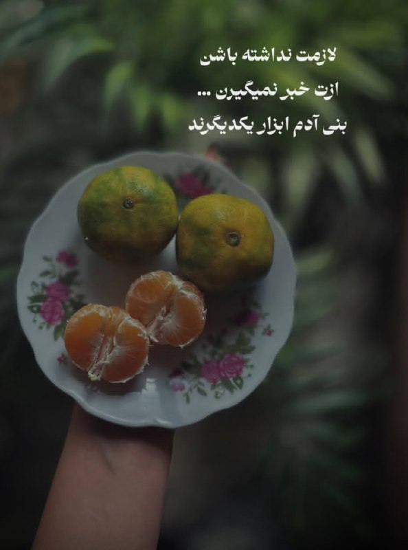 تکست لاو: 💜 💜