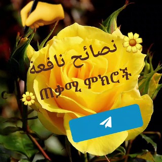 🌼 نصائح نافعة 🌼 ጠቃሚ ምክሮች