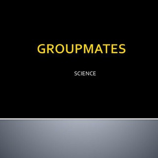 #Groupmates Telegram Group Link