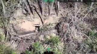 🇷🇺🇺🇦️ — פעולות לחימה של מפעילי כטב"מים של דיוויזיית הרובאים המוטוריים של המשמר 144 מכוונות והשמדת כוח א…