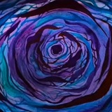 پیچک🌀