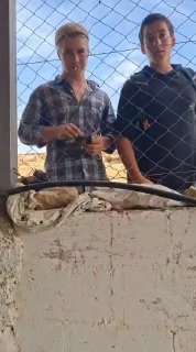 מתנחלים ישראלים קולוניאליים מתנכלים למשפחות פלסטיניות לאחר שפרצו לחצרות בתיהם ביישוב הבדואי ח'רבת אל-ח'ראבה…