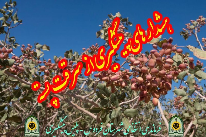 فردوس نوین: رسانه پست