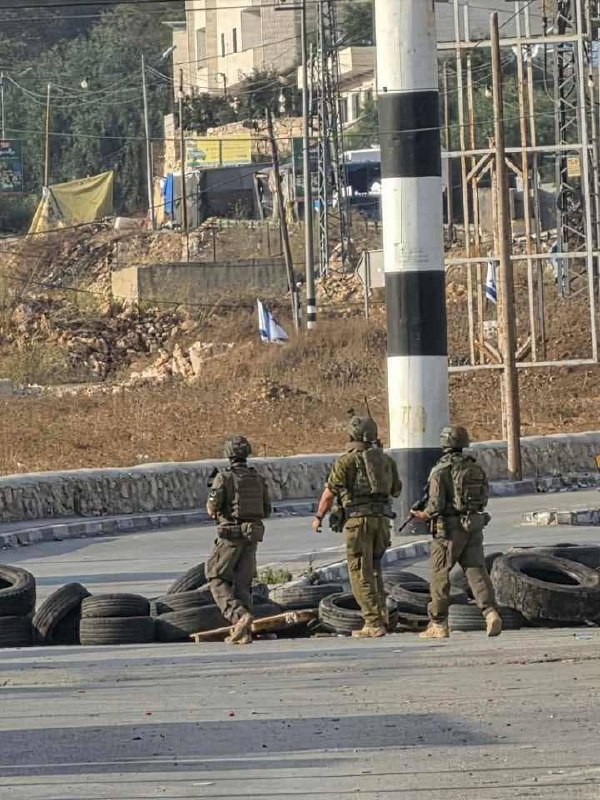 מעקב: צה"ל יורה פצצות גז לעבר בתים סמוך לכניסה למחנה אל-פאוואר, דרומית לחברון.